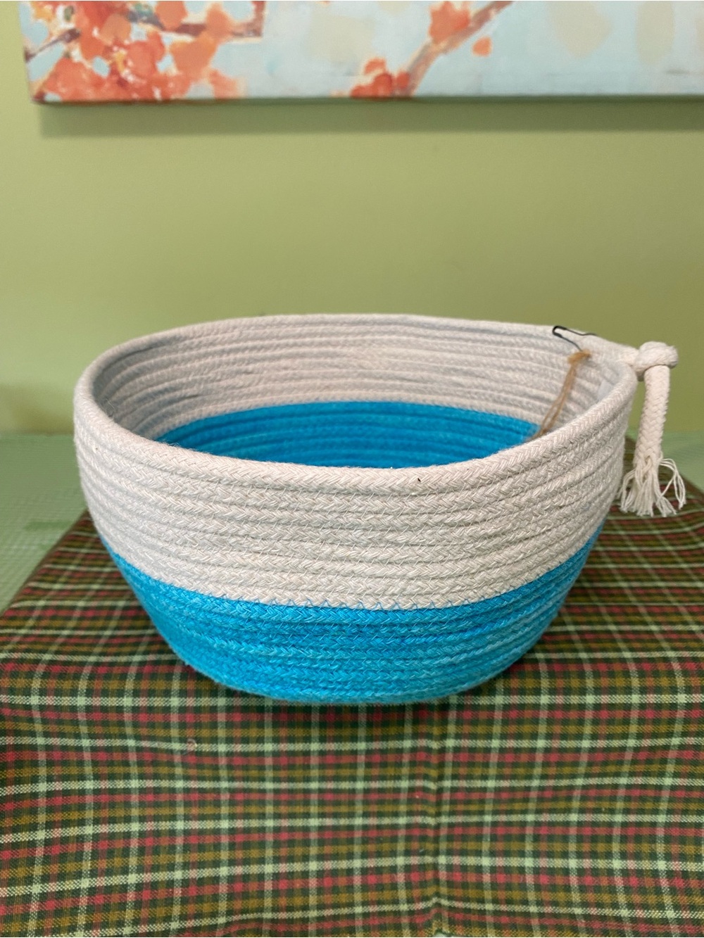 Handwoven Two-Tone Rope Basket in White and turquoise blue (D-1)